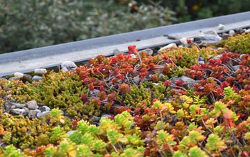 the cost of Porth Y Felin green roof installation