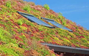 Porth Y Felin living roof systems