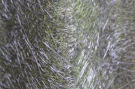 Porth Y Felin fibreglass roof work